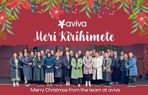 Merry Christmas from the Aviva Team